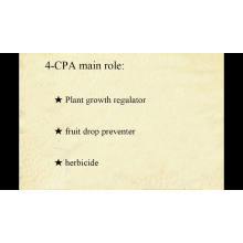 4-CPA 98%TC Agriculture chemical Plant Growth Regulator
Gibberellic acid A3 High effective Plant Growth Regulator GA3 90%TC in agriculture
Cas 72962-43-7 Plant Growth Hormone Brassinolide 0.1%sp
Good Quality Rooting hormonr IAA Indole acetic acid 98%TC